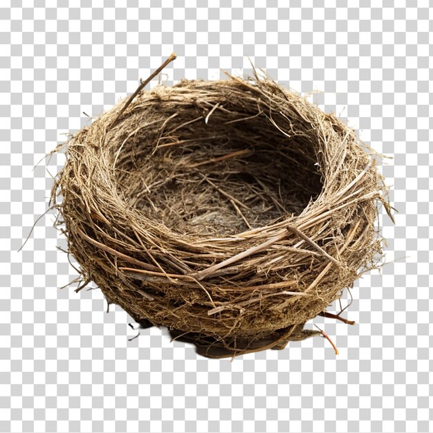 Bird nest on transparent background