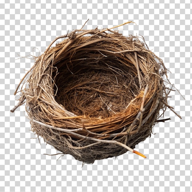 PSD bird nest on transparent background