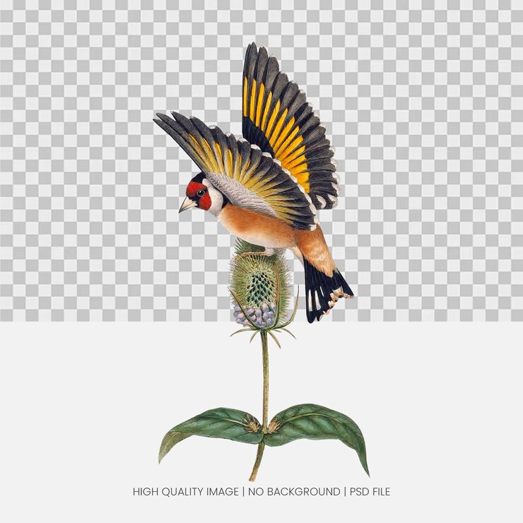 PSD a bird on a plant