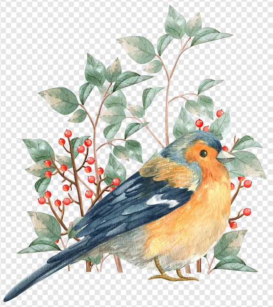 bird realistic wild psd layered transparent watercolor illustration