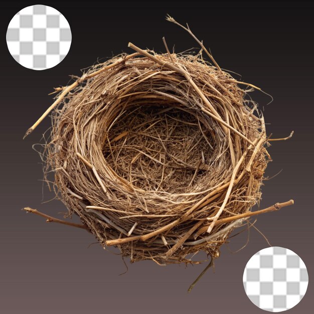 PSD bird s nest isolated on transparent background