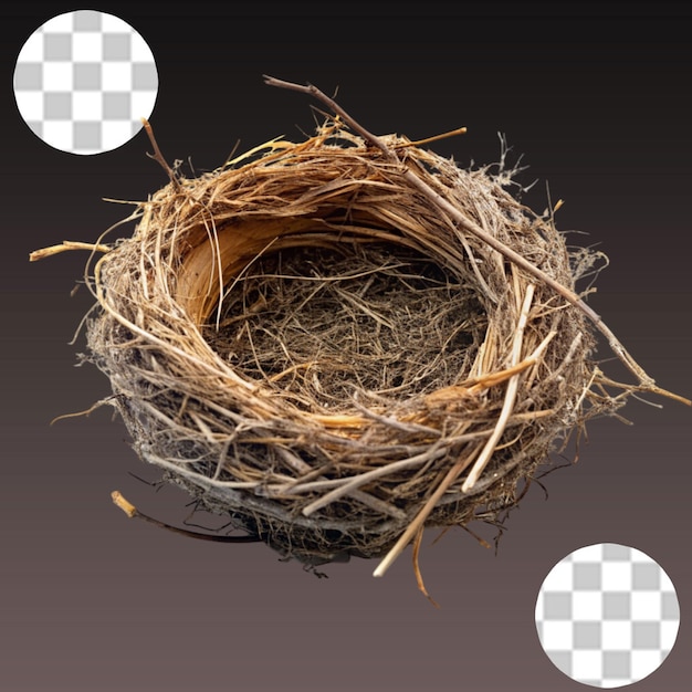 PSD bird s nest isolated on transparent background