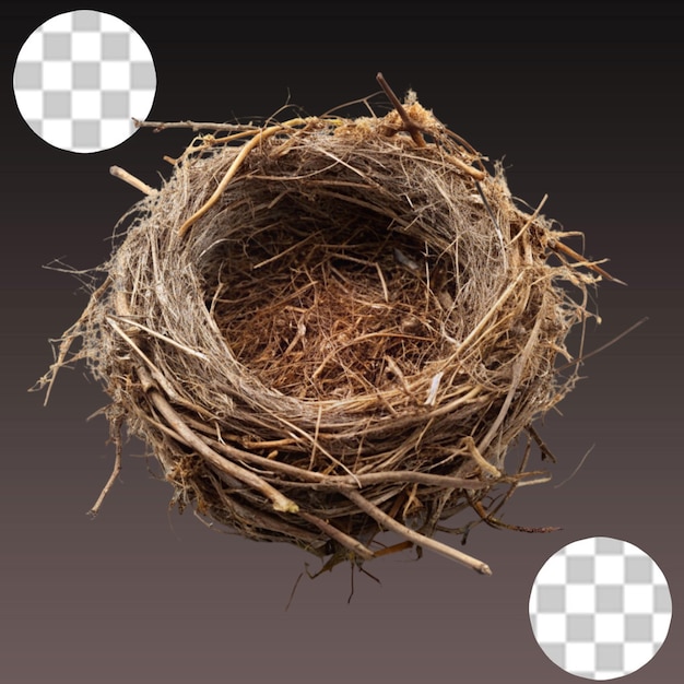 PSD bird s nest isolated on transparent background