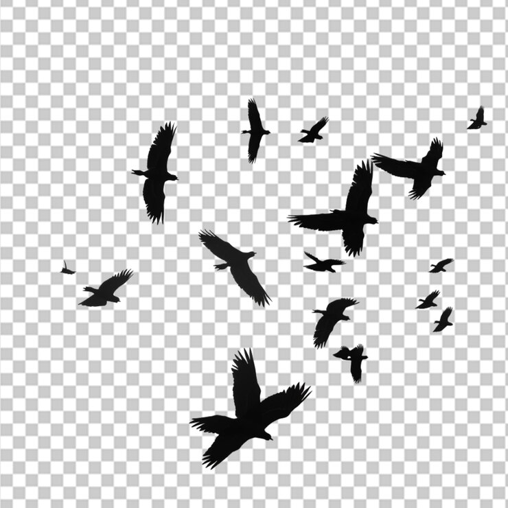 PSD bird silhouette illustration