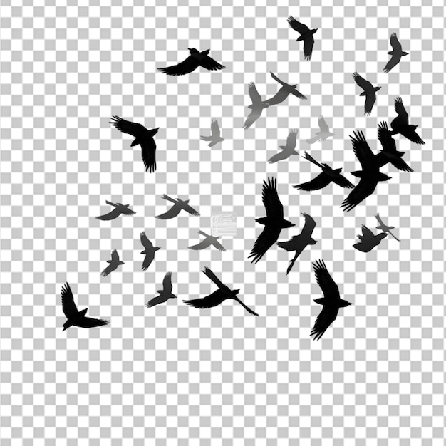 PSD bird silhouette illustration