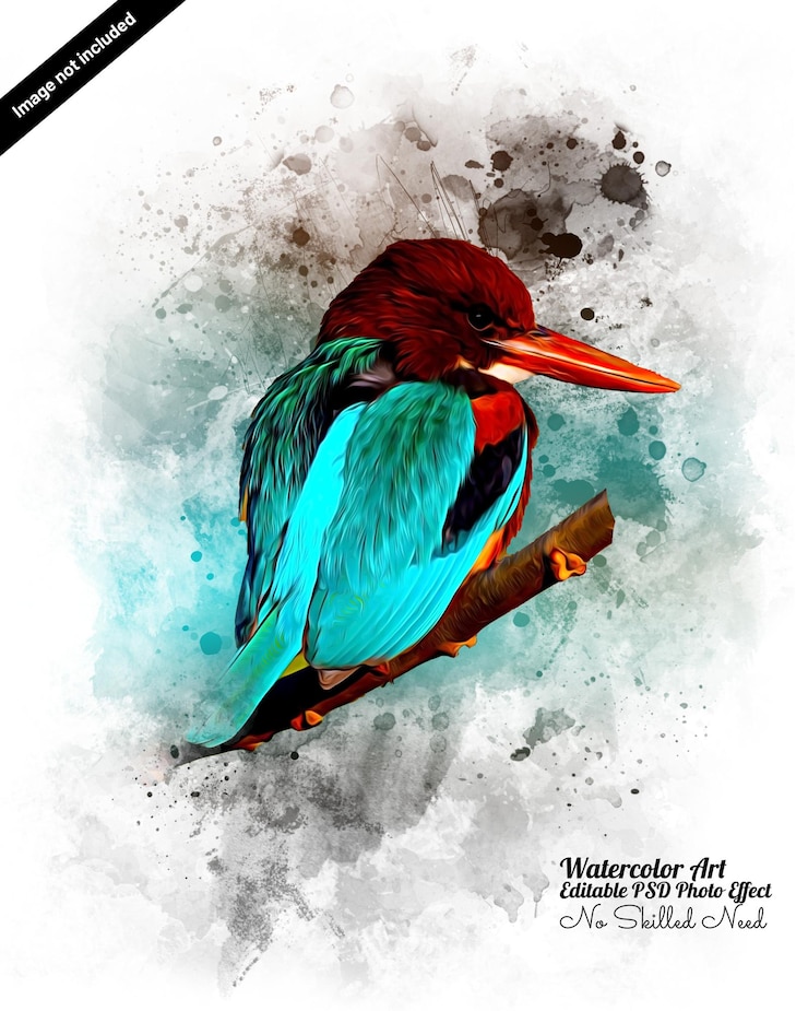 PSD bird watercolor photoshop photo effect