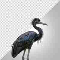 PSD a bird with a long neck stands on a white background