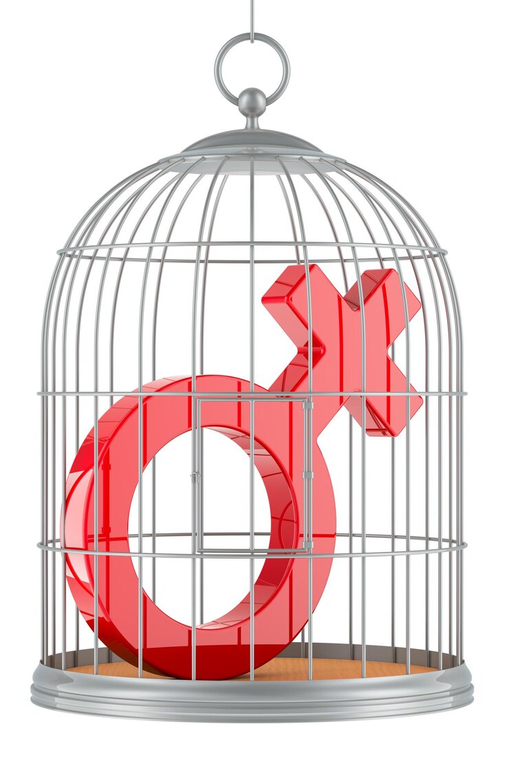 PSD birdcage with female gender symbol 3d rendering isolated on transparent background