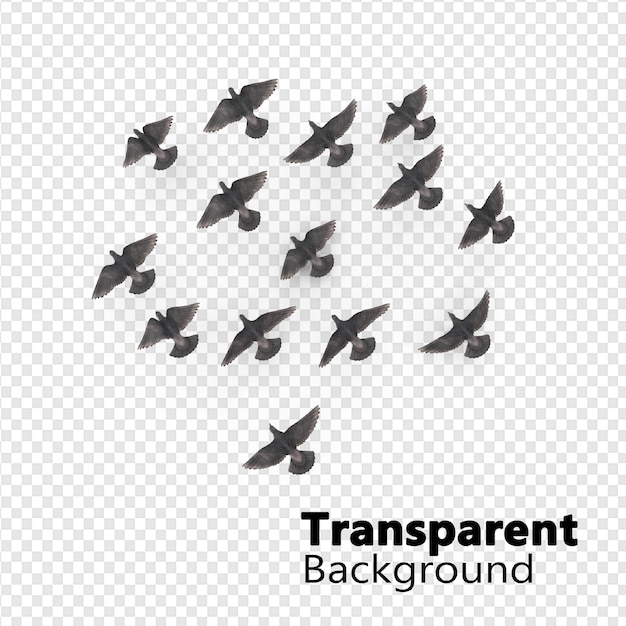 PSD birds flying on air transparent background