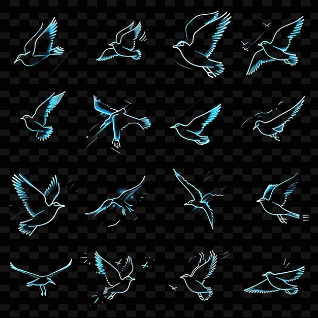 PSD birds flying in the sky on a black background