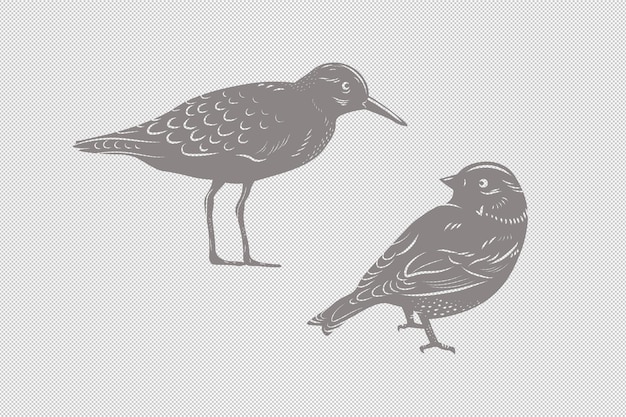 PSD birds handdrawn monochrome elements