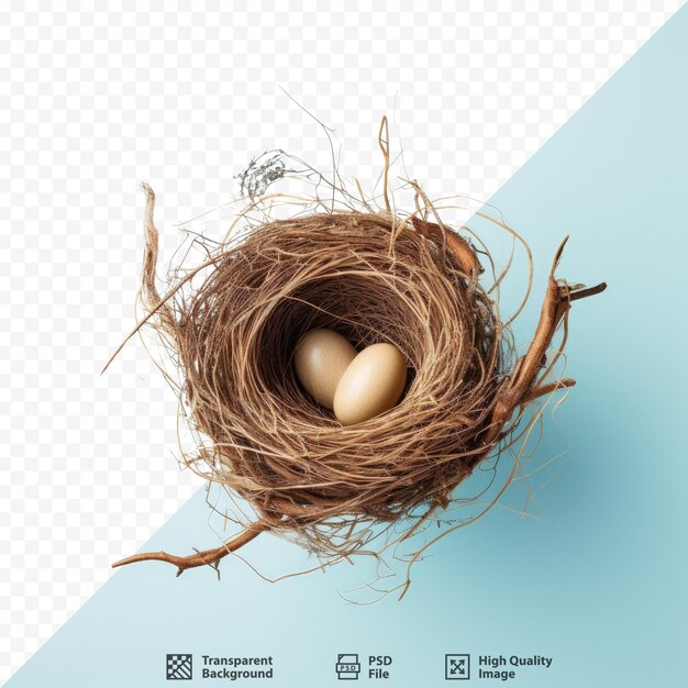 PSD birds nest on transparent background