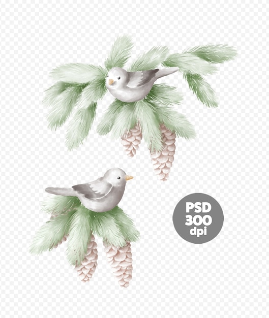 Birds on a spruce branch hand-drawn illustration