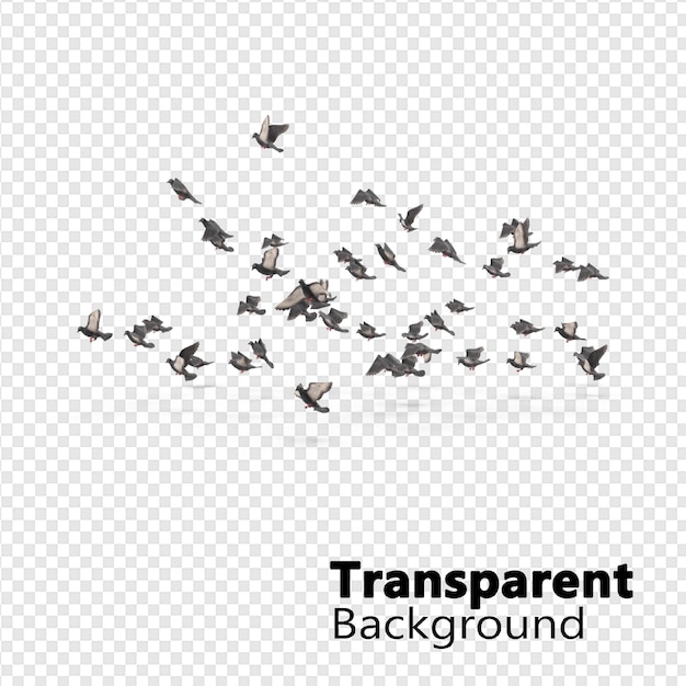 PSD uccelli su sfondo trasparente