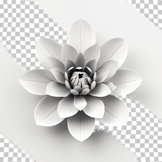 PSD Черно-белый цветок лотоса изолирован на прозрачном фоне файл включает в себя путь отрезки для простоты использования