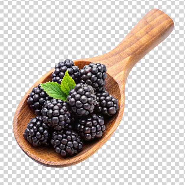 PSD black berries on wooden scoop on transparent background