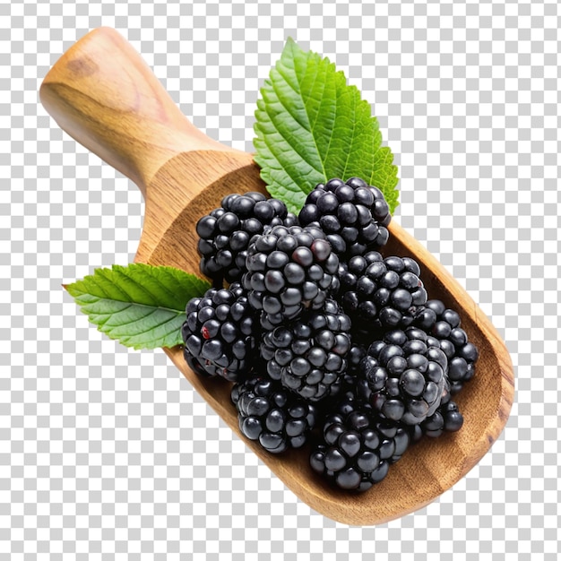 PSD black berries on wooden scoop on transparent background