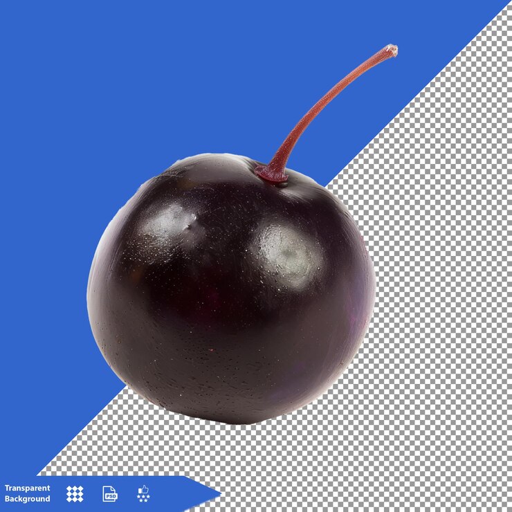 a black berry with a white background with a red stem