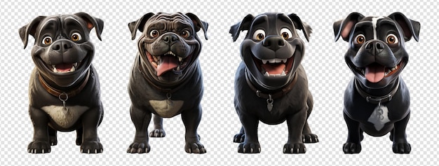 PSD black bulldog portrait collection standing pose with smiling expression