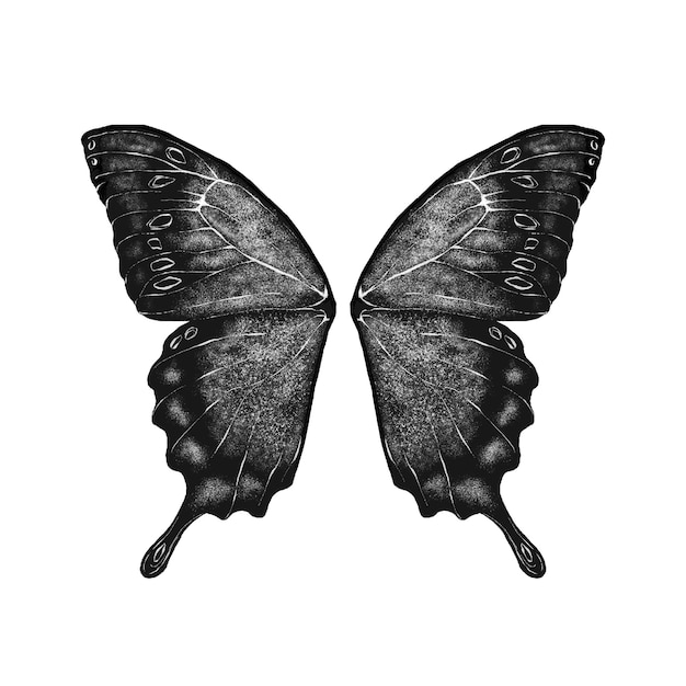 PSD a black butterfly with the word love on it