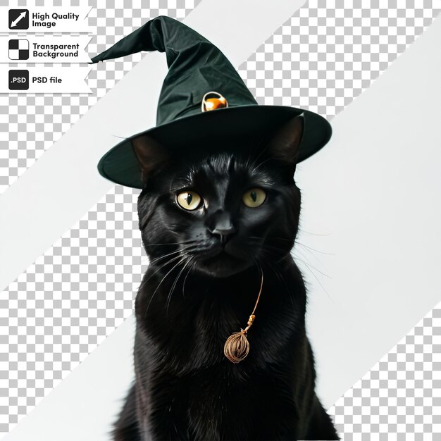 A black cat wearing a witch hat sits on a white background