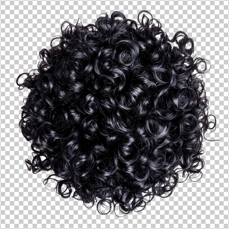 PSD black curly hairpiece on white bg top view