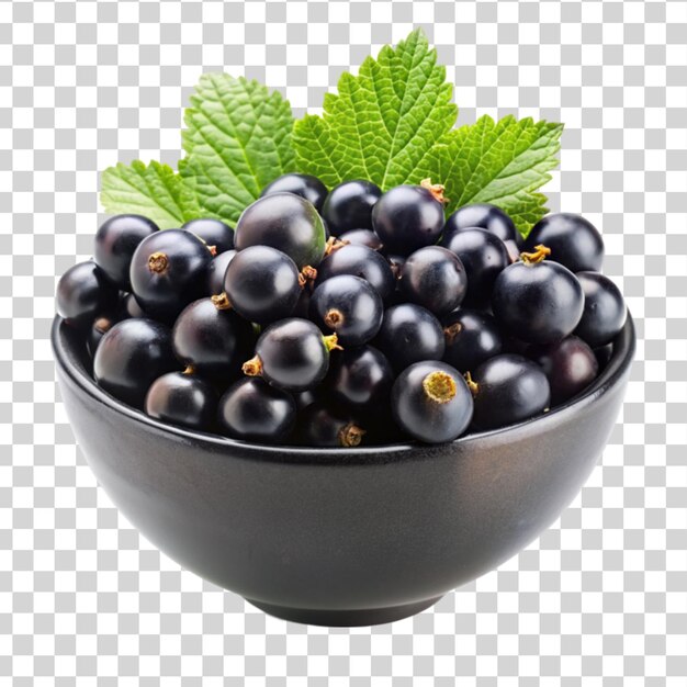 PSD black currant on bowl isolated on transparent background