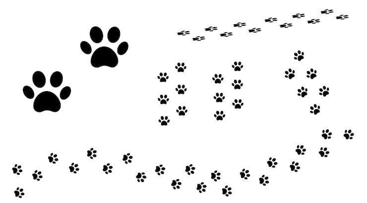 PSD black dog and cat paw prints trail isolated on white background