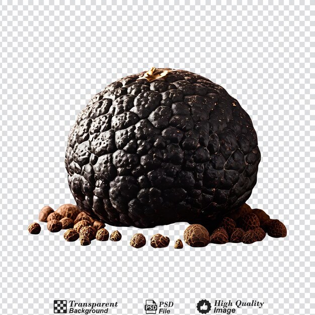 PSD black edible winter truffle isolated on transparent background