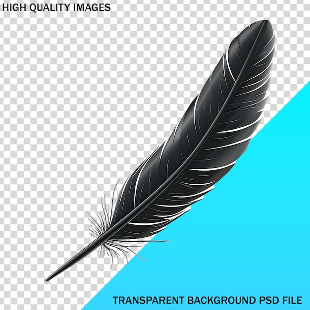 A black feather with a blue background that says high quality