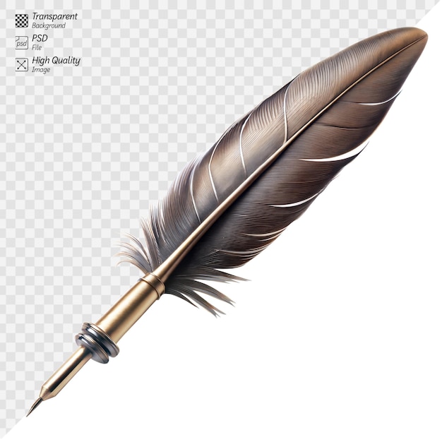 PSD a black feather with a gold feather on it