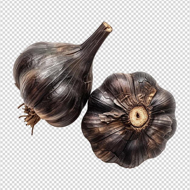 Black garlic bulbs isolated on transparent background