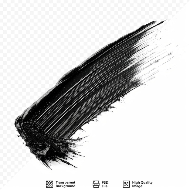 PSD black mascara brush stroke isolated on white