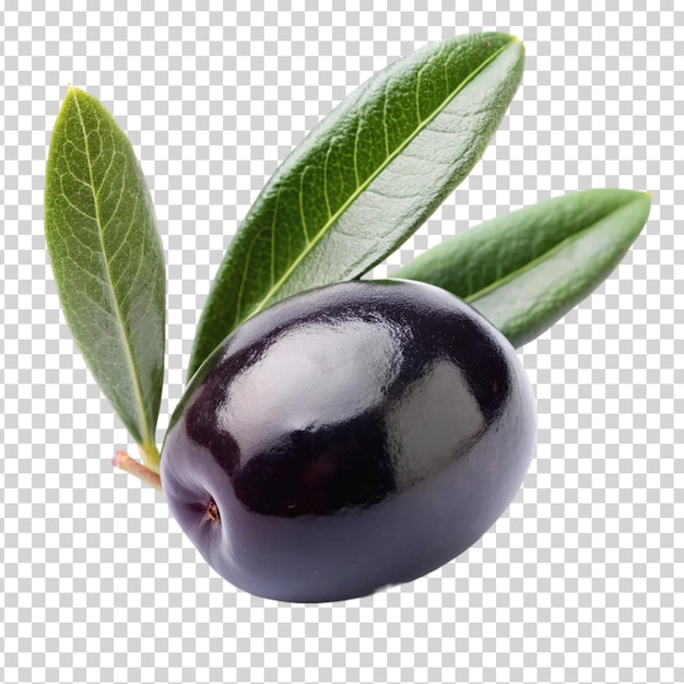 PSD a black olive with a green leaf on transparent background