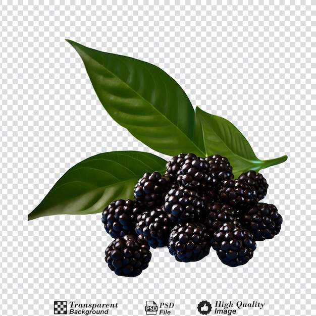 PSD black pepper corns isolated on transparent background