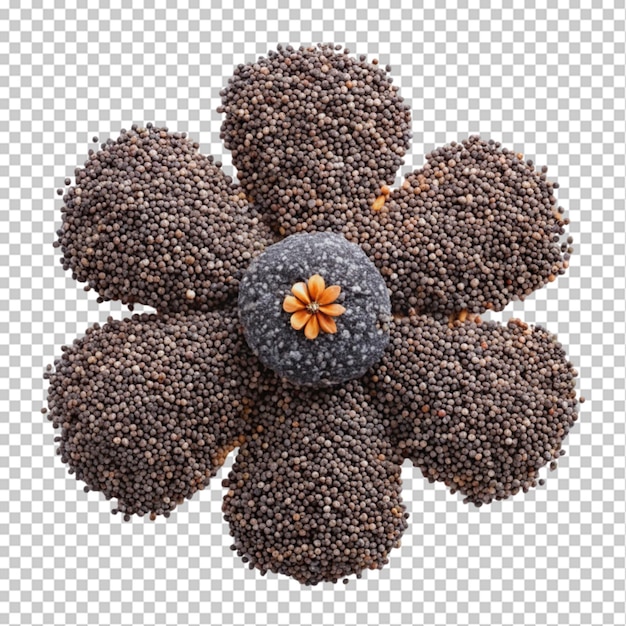 PSD 투명 한 배경 에 분리 된 검은 고추 꽃