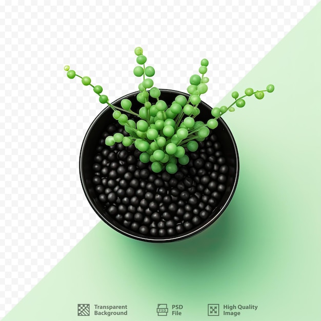 Un vaso nero con semi neri sopra e uno sfondo verde.