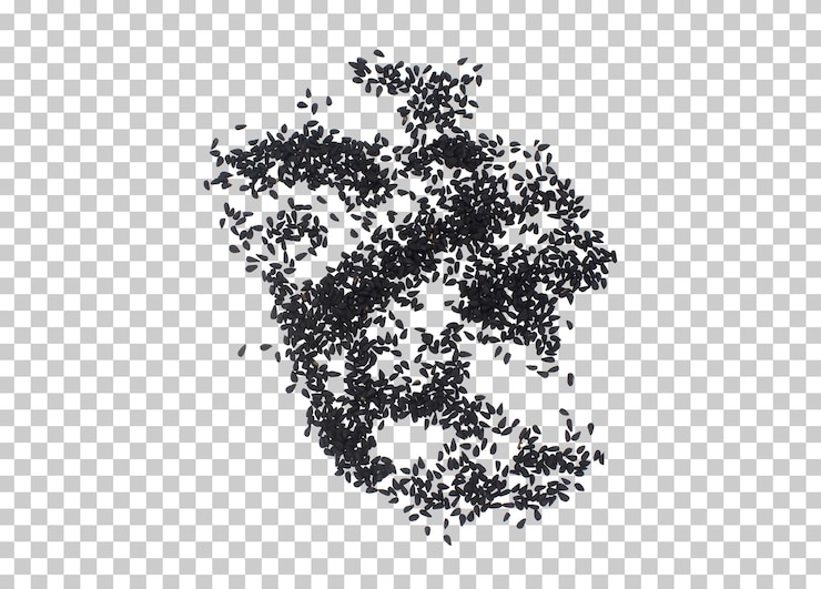 PSD black rice scattered on white