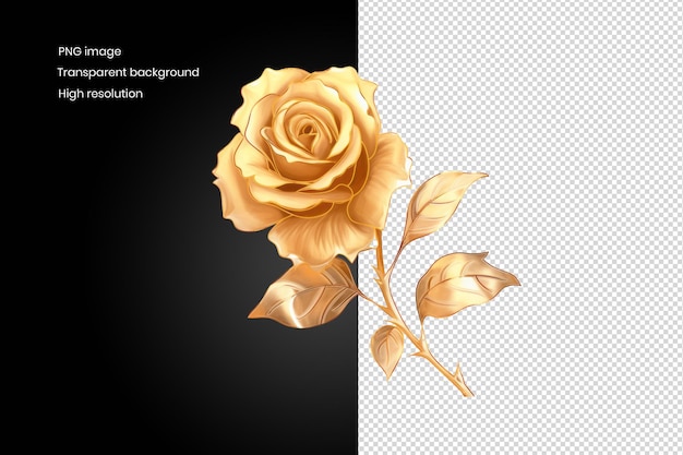 PSD black rose flower with four gold leaves and hints of gold on petals isolated background