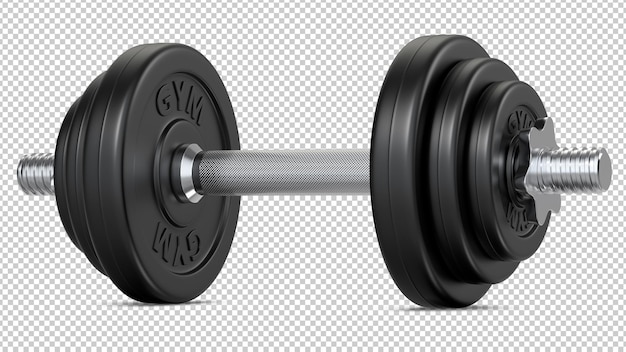 Black Rubber Encased Hand Dumbbell Weight