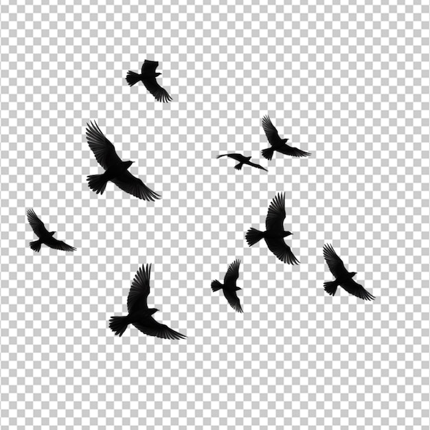 PSD black silhouette flock of birds backlit isolate on white background