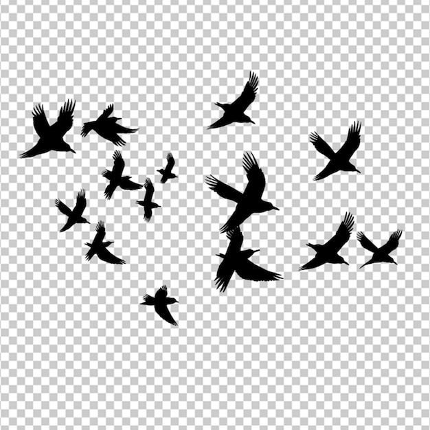 PSD black silhouette flock of birds backlit isolate on white background