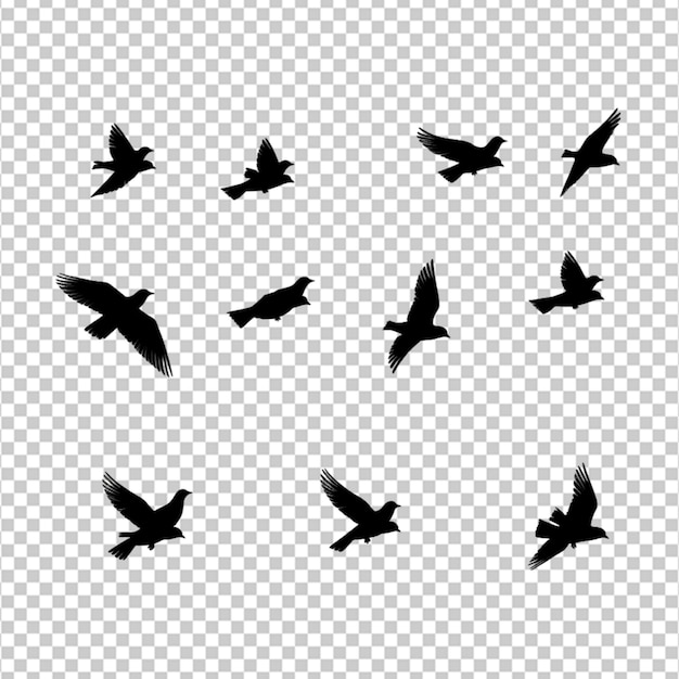 black silhouette flock of birds backlit Isolate on white background