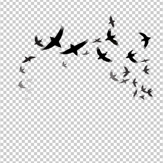 PSD black silhouette flock of birds backlit isolate on white background