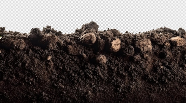 PSD black soil isolated on transparent background generative ai