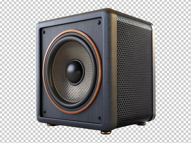 PSD black speaker