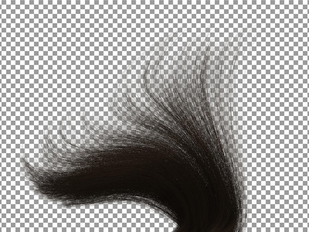 PSD black tail of girl hairs with transparent background