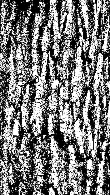 black tree bark texture bark on a white background old tree background vector wooden grunge texture