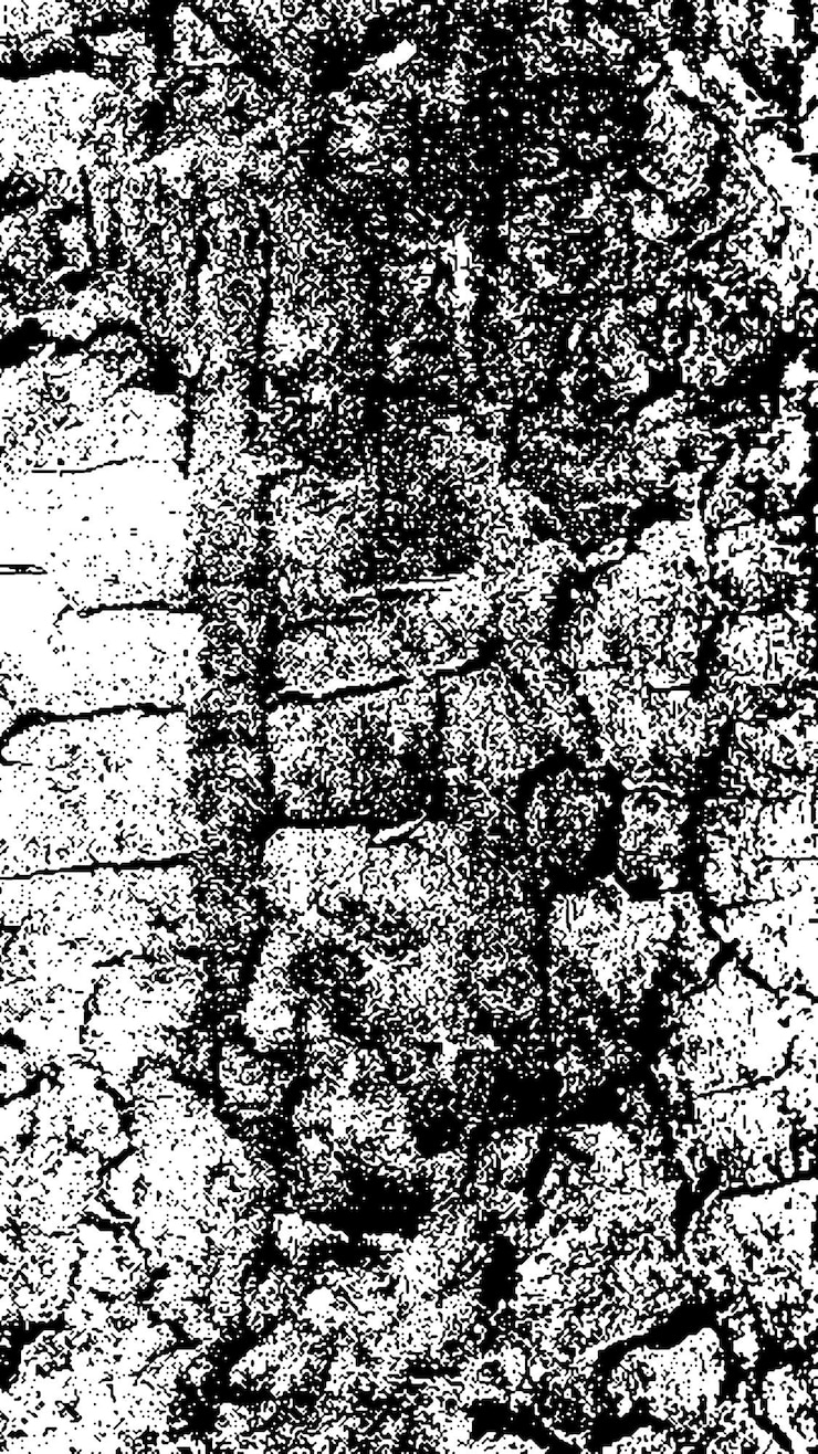PSD black tree bark texture bark on a white background old tree background vector wooden grunge texture