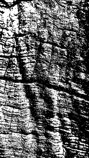 black tree bark texture bark on a white background old tree background vector wooden grunge texture